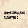 蓝色妖姬珍贵吗（蓝色妖姬产地）