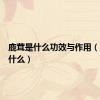 鹿茸是什么功效与作用（鹿茸是什么）