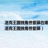 洛克王国独角兽紫藤在哪里得（洛克王国独角兽紫藤）