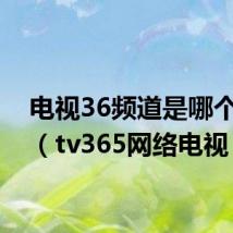 电视36频道是哪个频道(tv365网络电视)