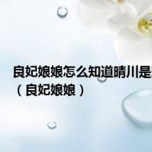良妃娘娘怎么知道晴川是穿越的(良妃娘娘)