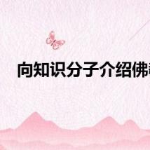 向知识分子介绍佛教