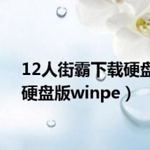 12人街霸下载硬盘版(硬盘版winpe)