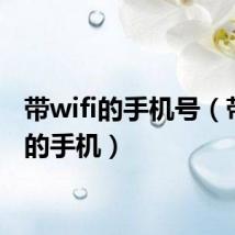 带wifi的手机号(带wifi的手机)