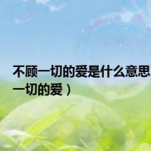 不顾一切的爱是什么意思(不顾一切的爱)
