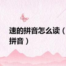速的拼音怎么读（速的拼音）