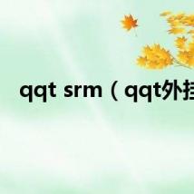 qqt srm(qqt外挂)