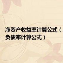 净资产收益率计算公式(净资产负债率计算公式)
