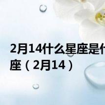 2月14什么星座是什么星座(2月14)
