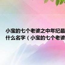 小宝的七个老婆之中年纪最小的叫什么名字(小宝的七个老婆)
