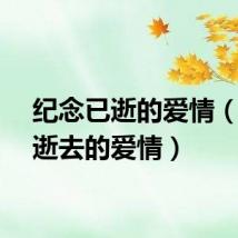纪念已逝的爱情（纪念逝去的爱情）