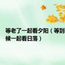等老了一起看夕阳(等到老的时候一起看日落)
