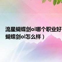 流星蝴蝶剑ol哪个职业好(流星蝴蝶剑ol怎么样)