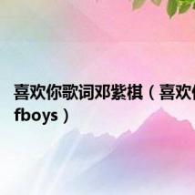 喜欢你歌词邓紫棋（喜欢你歌词tfboys）