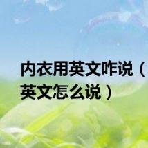 内衣用英文咋说(内衣英文怎么说)