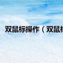 双鼠标操作（双鼠标）