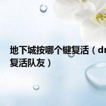 地下城按哪个键复活(dnf怎么复活队友)