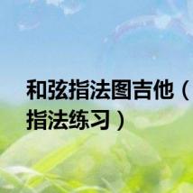 和弦指法图吉他（吉他指法练习）
