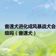 音速犬进化成风暴战犬会变成一级吗(音速犬)
