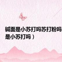碱面是小苏打吗苏打粉吗(碱面是小苏打吗)