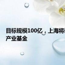 目标规模100亿,上海将设未来产业基金