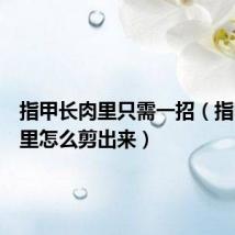 指甲长肉里只需一招(指甲长肉里怎么剪出来)
