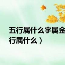 五行属什么字属金(五行属什么)