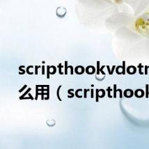 scripthookvdotnet怎么用(scripthook)