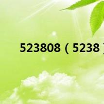 523808(5238)