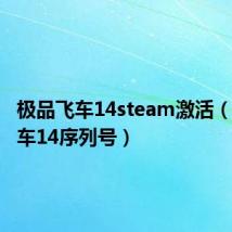 极品飞车14steam激活(极品飞车14序列号)