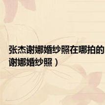 张杰谢娜婚纱照在哪拍的(张杰谢娜婚纱照)