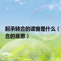 起承转合的读音是什么(起承转合的意思)