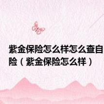 紫金保险怎么样怎么查自己车保险(紫金保险怎么样)