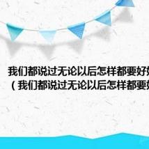 我们都说过无论以后怎样都要好好的英语（我们都说过无论以后怎样都要好好的）