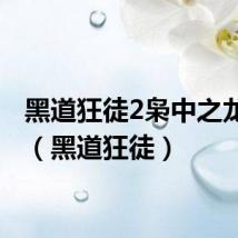 黑道狂徒2枭中之龙阅读(黑道狂徒)