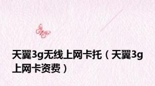 天翼3g无线上网卡托（天翼3g上网卡资费）