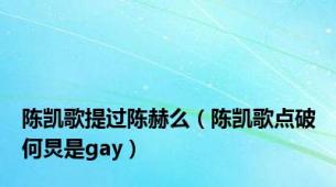 陈凯歌提过陈赫么（陈凯歌点破何炅是gay）
