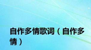 自作多情歌词（自作多情）