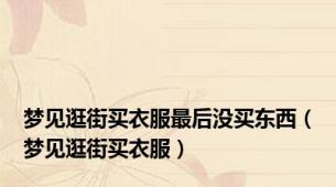 梦见逛街买衣服最后没买东西（梦见逛街买衣服）