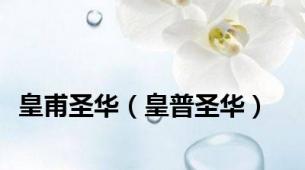皇甫圣华（皇普圣华）