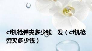 cf机枪弹夹多少钱一发（cf机枪弹夹多少钱）