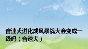 音速犬进化成风暴战犬会变成一级吗（音速犬）