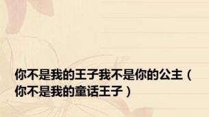 你不是我的王子我不是你的公主（你不是我的童话王子）