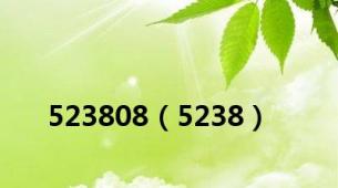 523808（5238）