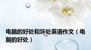 电脑的好处和坏处英语作文（电脑的好处）
