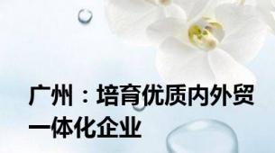 广州：培育优质内外贸一体化企业