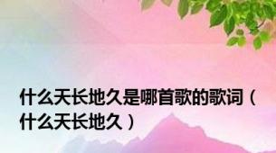什么天长地久是哪首歌的歌词（什么天长地久）