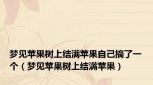 梦见苹果树上结满苹果自己摘了一个（梦见苹果树上结满苹果）