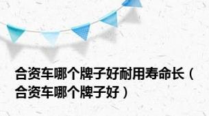 合资车哪个牌子好耐用寿命长（合资车哪个牌子好）