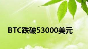 BTC跌破53000美元